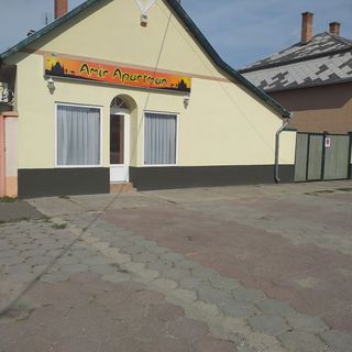 Amir Apartman Soltvadkert (3)
