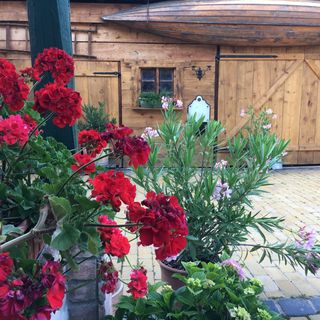 Veranda Vendégház Verőce (5)