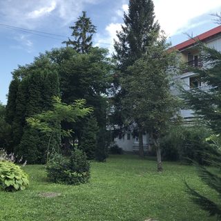 Relax Szófia Apartman Harkány (2)