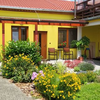 Penzion - Ubytování Květinová Křelov-Břuchotín (2)