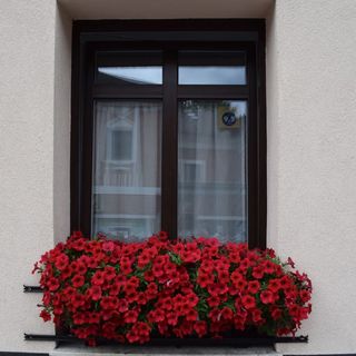 Apartmenthaus Esther Ramingstein (2)