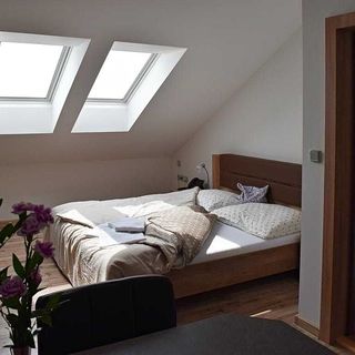 Penzion U Čápa Příbor (5)