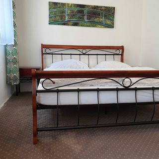 Hotel Garni Orlová (5)