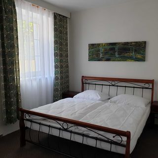 Hotel Garni Orlová (4)