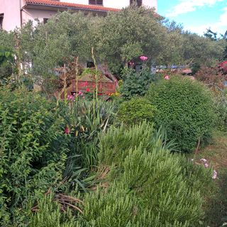 Apartmanok A Tenger Mellett Tkon, Pasman - 16275 Tkon (4)