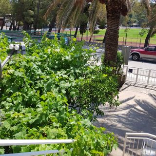 Apartmanok Parkolóhellyel Makarska - 16521 (4)