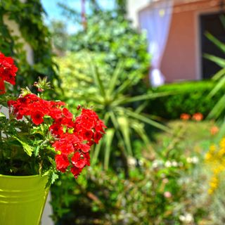 Apartmanok A Tenger Mellett Betina, Murter - 16742 Betina (4)