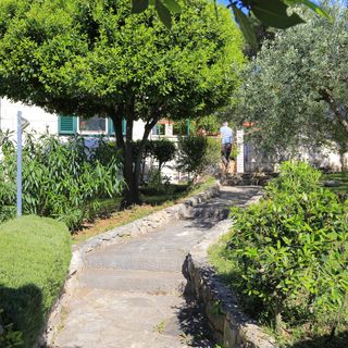 Apartmanok Parkolóhellyel Splitska, Brac - 17023 Splitska (5)