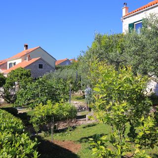 Apartmanok Parkolóhellyel Splitska, Brac - 17023 Splitska (4)