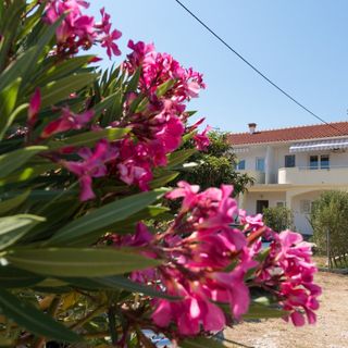 Apartmanok A Tenger Mellett Petrcane, Zadar - 17342 Petrčane (3)