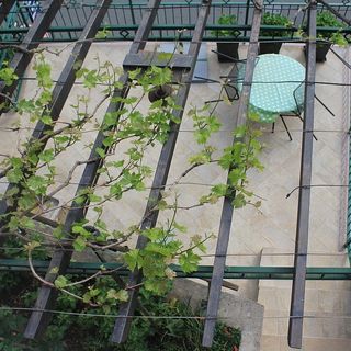 Apartmanok A Tenger Mellett Moscenicka Draga, Opátia - Opatija - 17381 Mošćenička Draga (3)