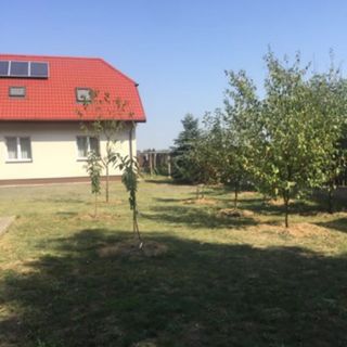 Noclegi Oaza Rozalin (2)