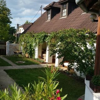 Derű Vendégház és Lovasudvar Fenyőfő (5)