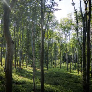 4 Évszak Hegyihotel Mátraháza (2)