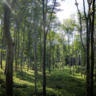 4 Évszak Hegyihotel Mátraháza (2)
