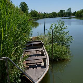 Peresi Vízparti Apartman Mezőtúr (5)