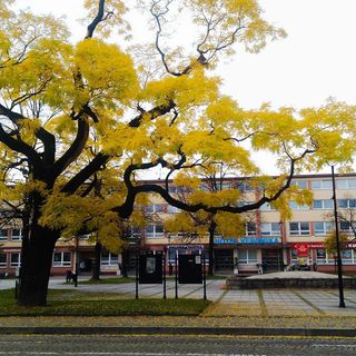 Hotel Veronika Ostrava (3)