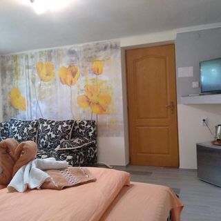 Gréti Apartman Sárospatak (5)