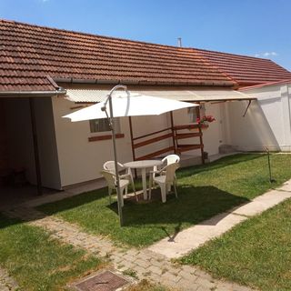 Nyuszi Apartman Gyula (4)