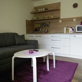 Privat Nisa Nová Lesná (4)