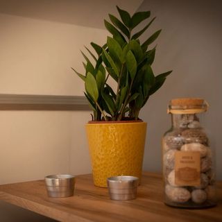 Eliza Birdland Golf Apartman Bük (2)