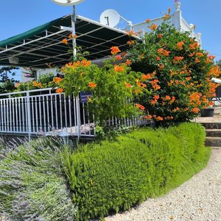 Apartment Snjezana Marina (5)