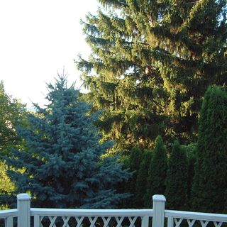 Panoráma Apartman Gárdony (3)