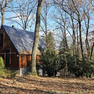 Bohém Kabin & Wellness Kismaros (4)