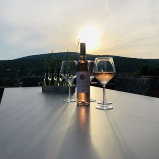 Baráthegyi Panzió Pécsvárad (2)