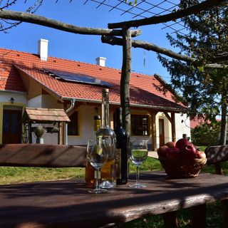 Kemencés Vendégház Nemeshany (2)