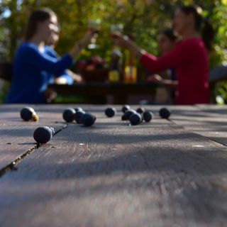 Kemencés Vendégház Nemeshany (4)