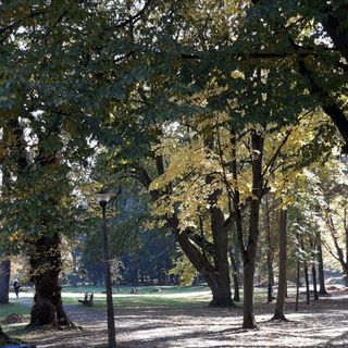 Vízesés Apartman Parádfürdő (5)