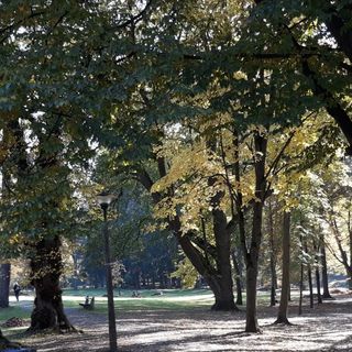 Vízesés Apartman Parádfürdő (5)