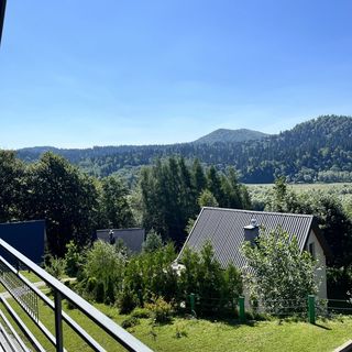 Brzozowe Wzgórze Wołkowyja (4)