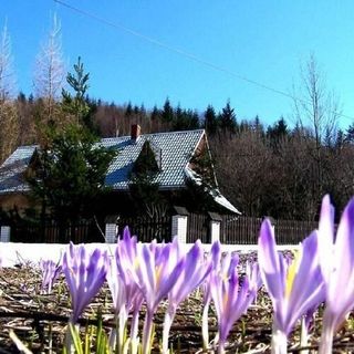 Góralska Czarcia Chata pod Jałowcem Stryszawa Beskidy (5)