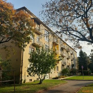 Knédli Vendégház Miskolc (4)