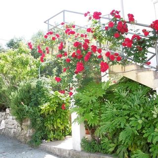 Apartman Josi Banjol (3)