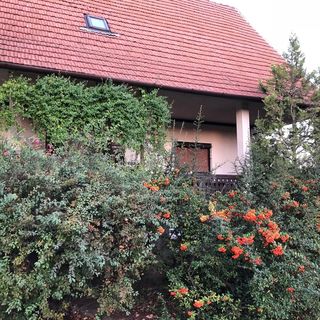 Veranda Apartman Nyíregyháza (2)