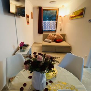 Patakparti Apartman Lovas (4)