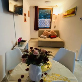 Patakparti Apartman Lovas (4)