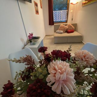 Patakparti Apartman Lovas (5)