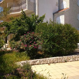 Apartman Filip Okrug Gornji (5)