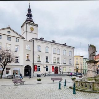 Apartamenty Gemini Dzierżoniów (4)