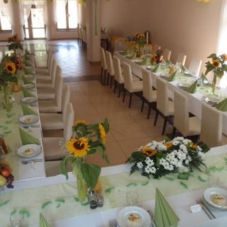 Pensjonat Lew Jaskiniowy Stronie Śląskie (4)