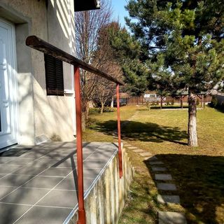 Diófa Vendégház Daruszentmiklós (3)