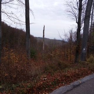 Roanzavi Lak Magánszállás Bükkszentkereszt (3)