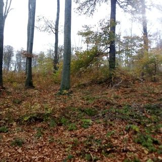 Roanzavi Lak Magánszállás Bükkszentkereszt (4)