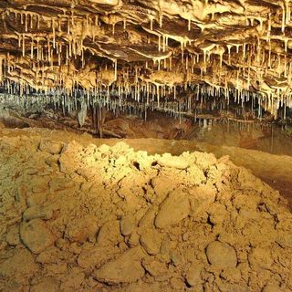 Apartments Sedlak Blansko (5)