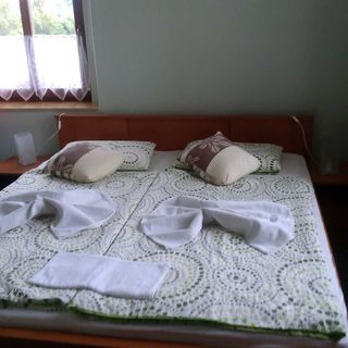 PENSION VILLA ALTONA Františkovy Lázně (3)