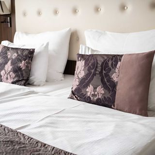 Hotel Sladovna Černá Hora (4)